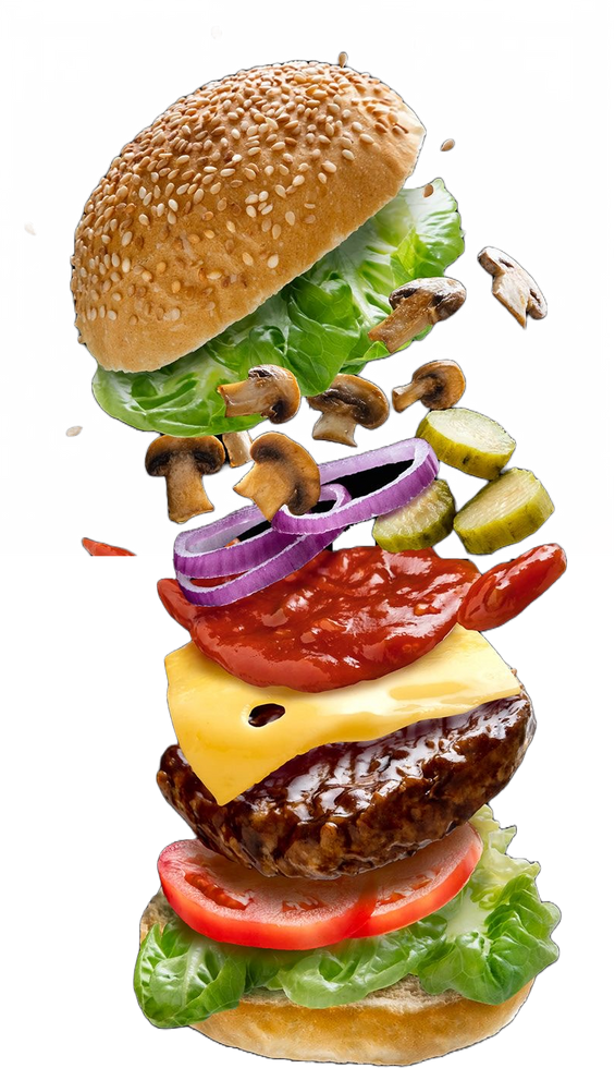 Flying burger